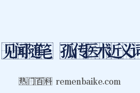 见闻随笔·孤传医术近义词是什么意思的图片